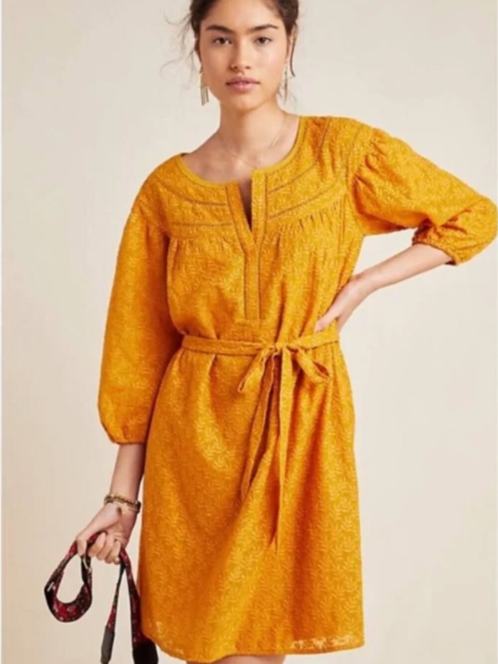 Anthropologie Daniel Rainn Treva Embroidered XS Dress